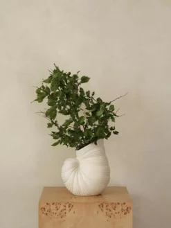 Shell Vase, Off-White