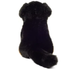 Siddende Berner Sennen, Sort/Brun