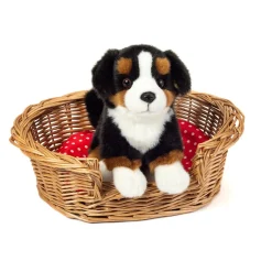 Siddende Berner Sennen, Sort/Brun