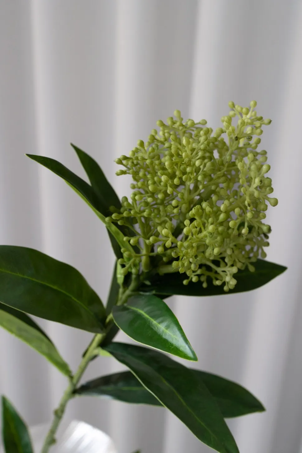 Skimmia Berry Kunstig Blomst, Green