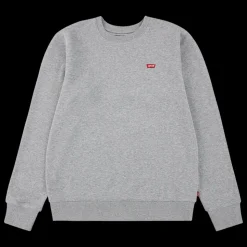 Teenager Mini Logo Crewneck Sweatshirt, Grey Heather, 10 år