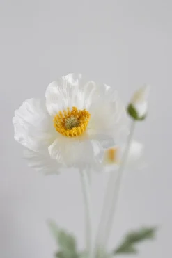 Valmue Kunstig Blomst, Cream