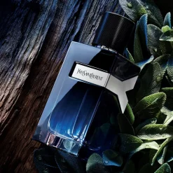 Y Eau De Parfum, 100 ml